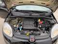 Fiat Panda Panda 1.2 Easy s Nero - thumbnail 13