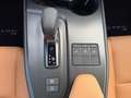 Lexus UX 300h 2WD F-Sport Design Grün - thumbnail 14