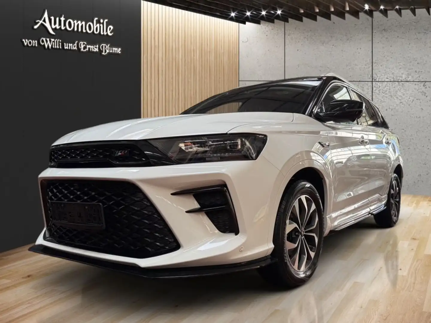 SWM G01 G01F Premium - 1