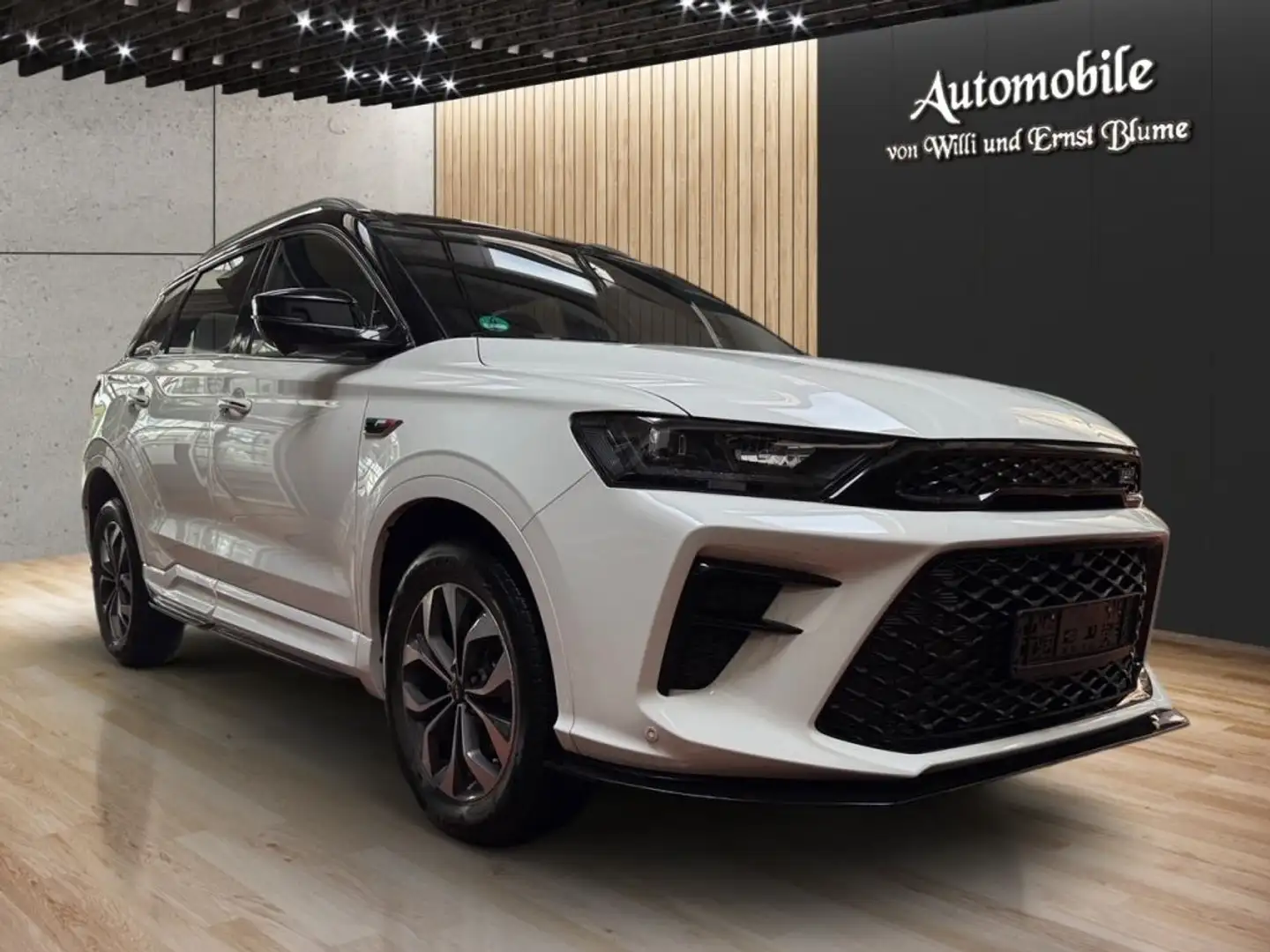 SWM G01 G01F Premium - 2