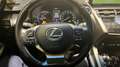Lexus NX 300 300h Business Navigation 2WD Grau - thumbnail 19