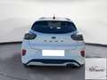 Ford Puma 1.5 ecoblue ST-Line s&s 120cv Bianco - thumbnail 11
