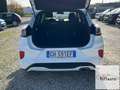 Ford Puma 1.5 ecoblue ST-Line s&s 120cv Bianco - thumbnail 12
