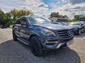 Mercedes-Benz ML 350 LUFTFED ALCANTARA AHK 8FACH Gri - thumbnail 3
