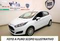 Ford Fiesta Fiesta 3p 1.2 Plus 60cv E6 Wit - thumbnail 1
