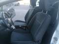 Ford Fiesta Fiesta 3p 1.2 Plus 60cv E6 Wit - thumbnail 3