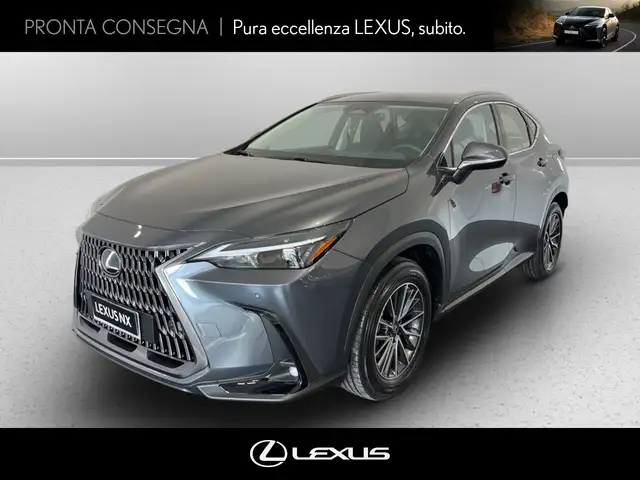 Lexus NX 350h 2.5 business 2wd 197cv e-cvt