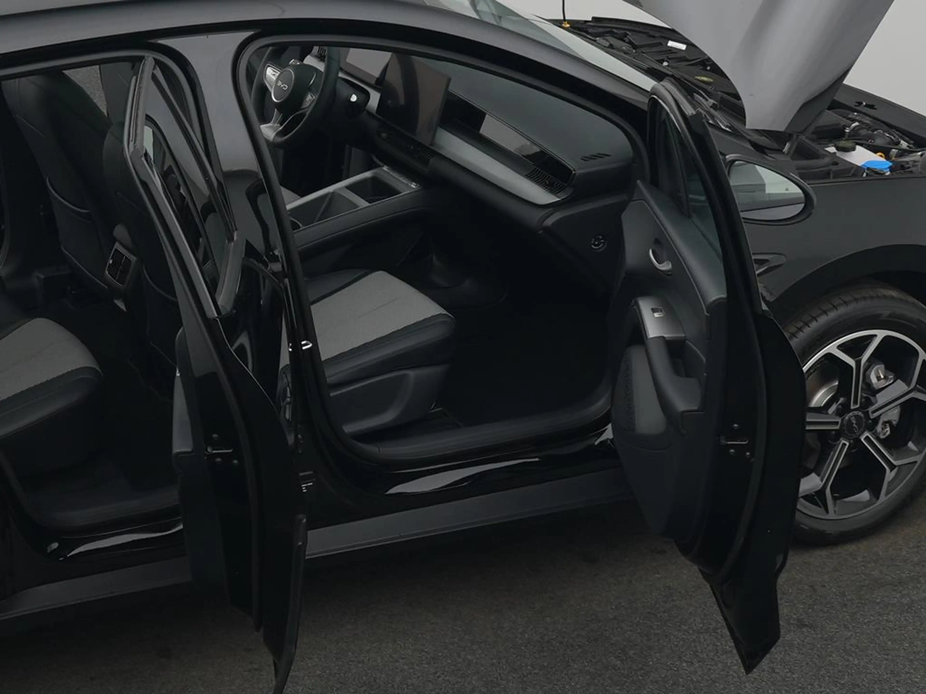 BYD Dolphin G DM-i Comfort — photo 13