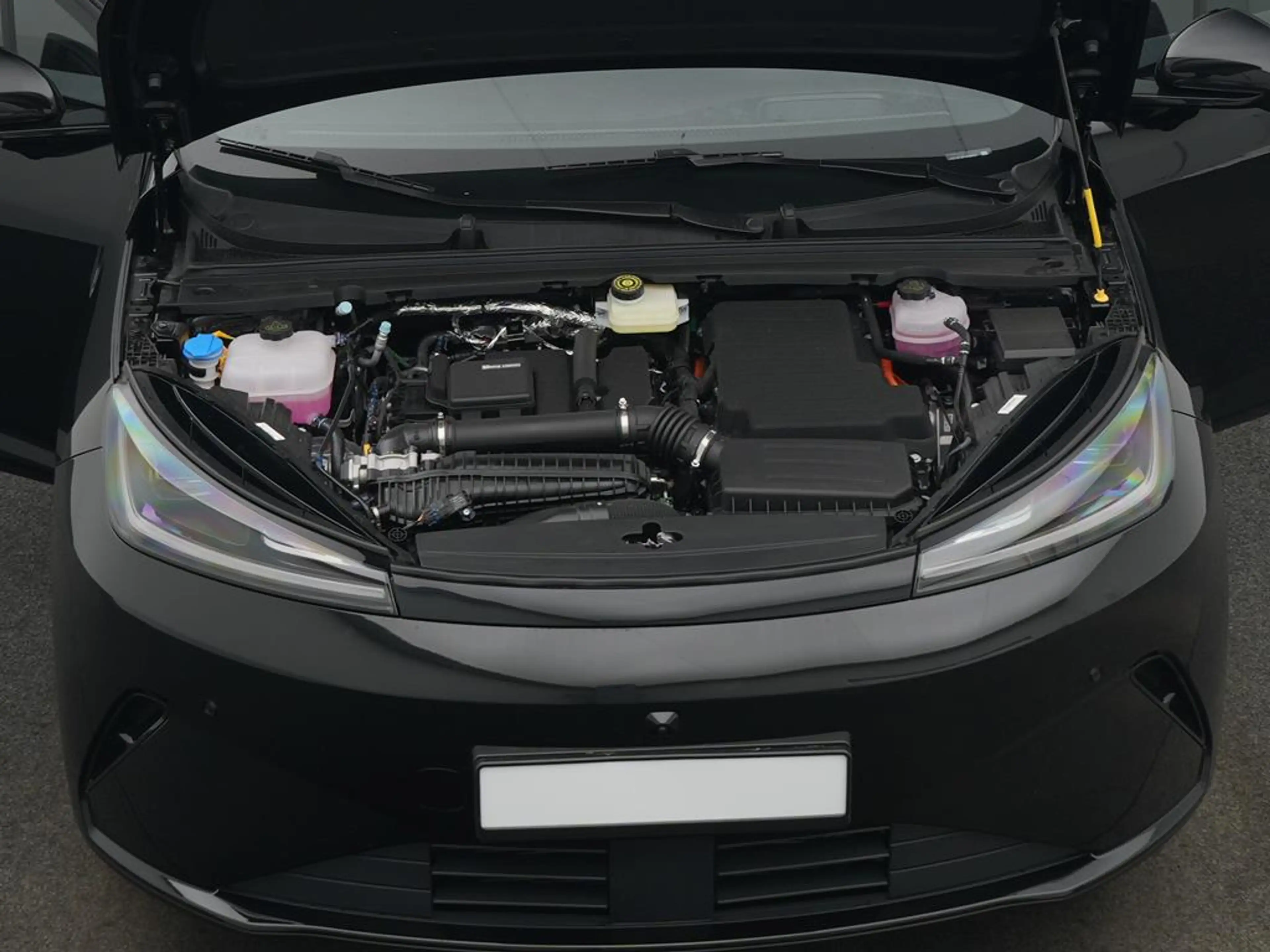 BYD Dolphin G DM-i Comfort — photo 8