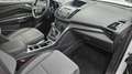 Ford Kuga Trend Blanc - thumbnail 7