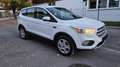 Ford Kuga Trend Blanc - thumbnail 5