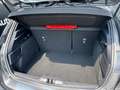 Ford Focus 1.5 EcoBlue 115 CV automatico 5p. ST-Line #teleca Grijs - thumbnail 19
