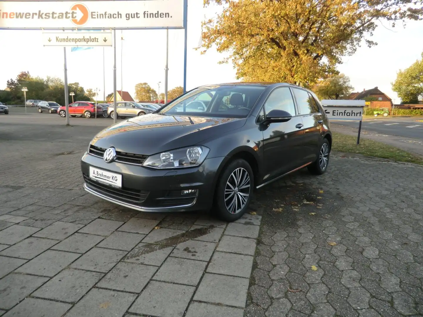 Volkswagen Golf VII 1.2 TSI BMT Allstar AHK SHZ GRA Grau - 2