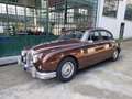 Daimler 2.5 V8 Saloon 250 Hnědá - thumbnail 1