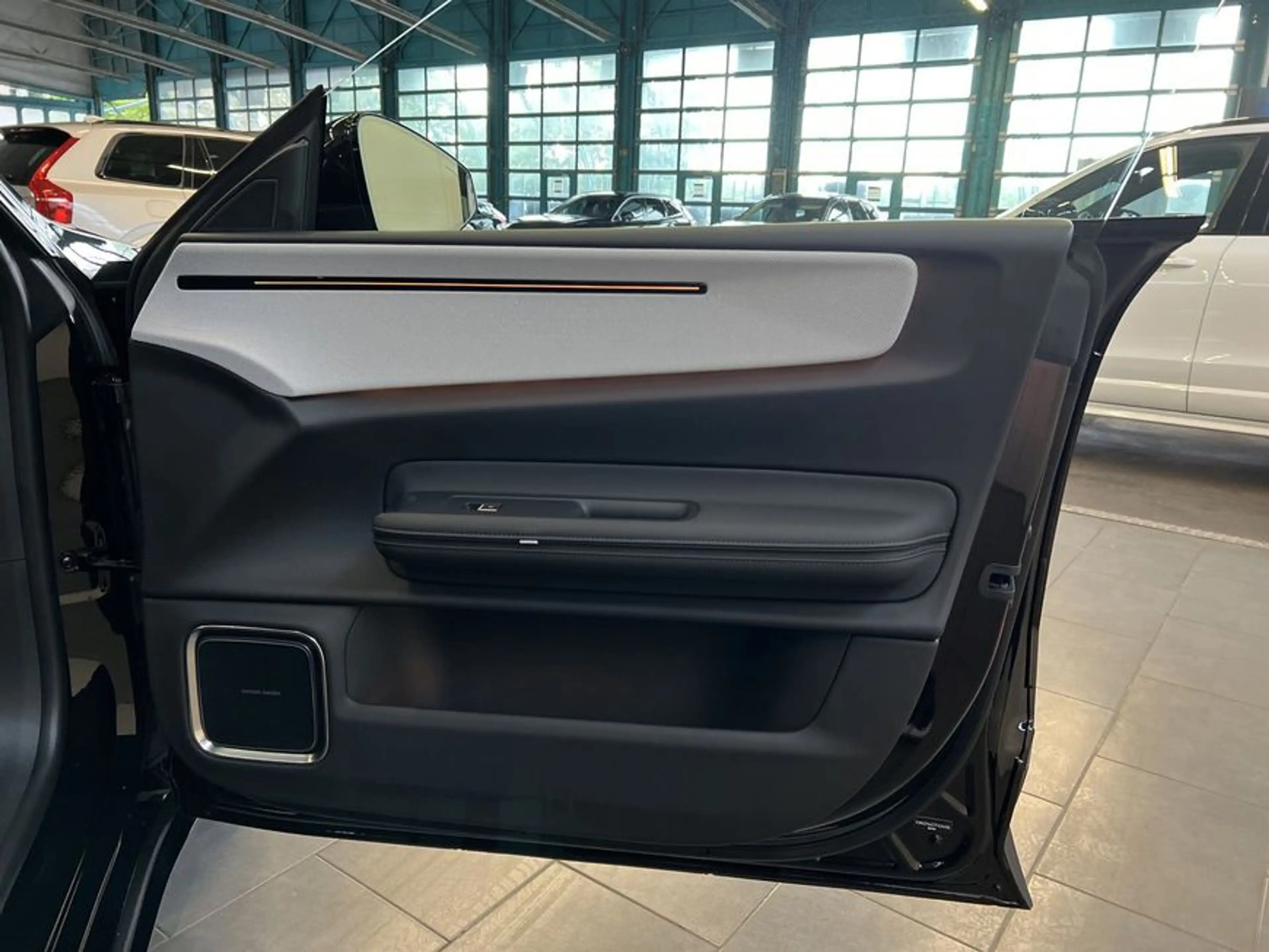 Polestar 4 Dual-Motor Prime Glasd Pilot- Plus- Climate-Pake — photo 21