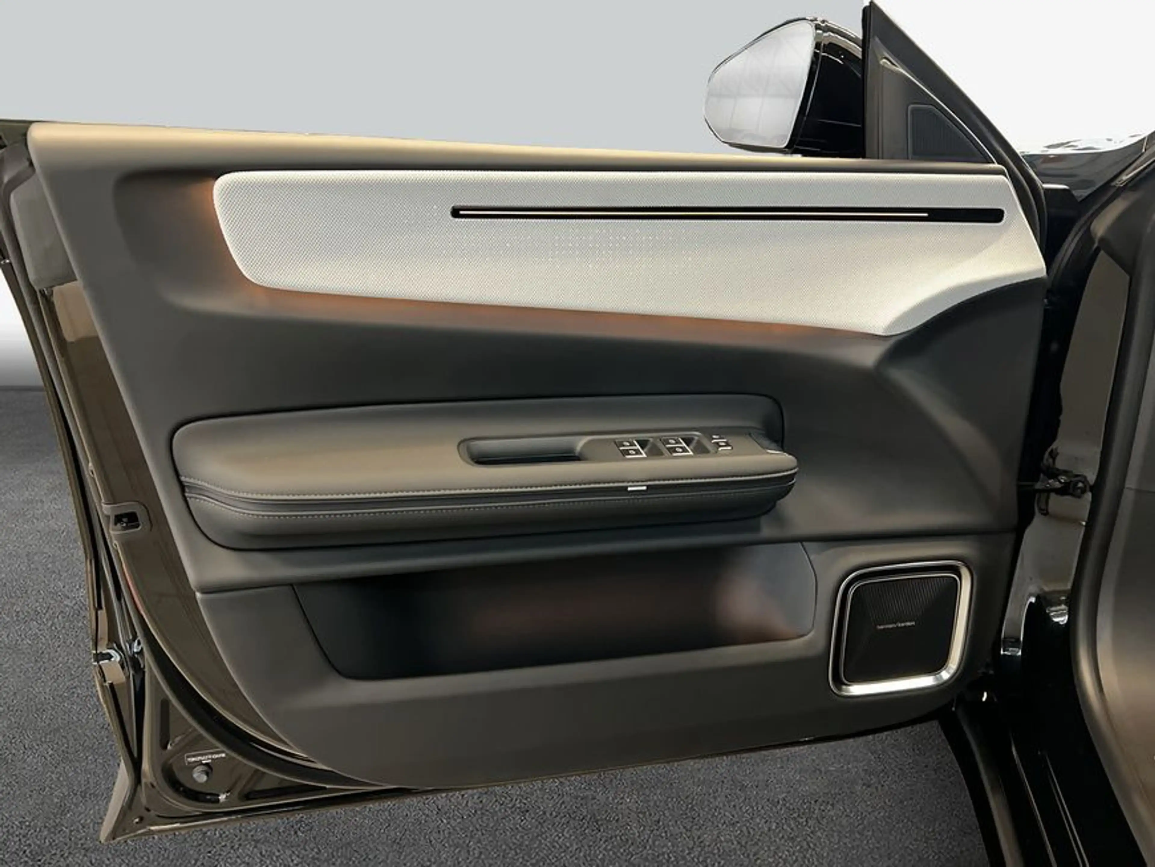 Polestar 4 Dual-Motor Prime Glasd Pilot- Plus- Climate-Pake — photo 20