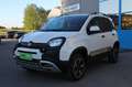 Fiat Panda 0.9 TwinAir 85CV Turbo S&S 4x4 *NEOP - PERFETTA* Blanco - thumbnail 6