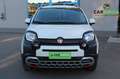 Fiat Panda 0.9 TwinAir 85CV Turbo S&S 4x4 *NEOP - PERFETTA* Blanco - thumbnail 1