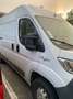 Fiat Ducato L2H2 Blanc - thumbnail 1