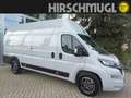 Fiat Ducato Maxi KW L4H3 3500 140 AT Grau - thumbnail 1