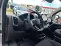 Fiat Ducato Maxi KW L4H3 3500 140 AT Grau - thumbnail 9