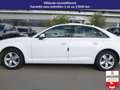 Audi A4 1.4 TFSI 150 - Design Bianco - thumbnail 8
