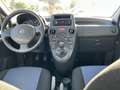 Fiat Panda 1.2 Dynamic 69cv E5 TOP!! CLIMa!! NEOPATENTATI Bleu - thumbnail 11