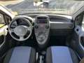 Fiat Panda 1.2 Dynamic 69cv E5 TOP!! CLIMa!! NEOPATENTATI Bleu - thumbnail 12
