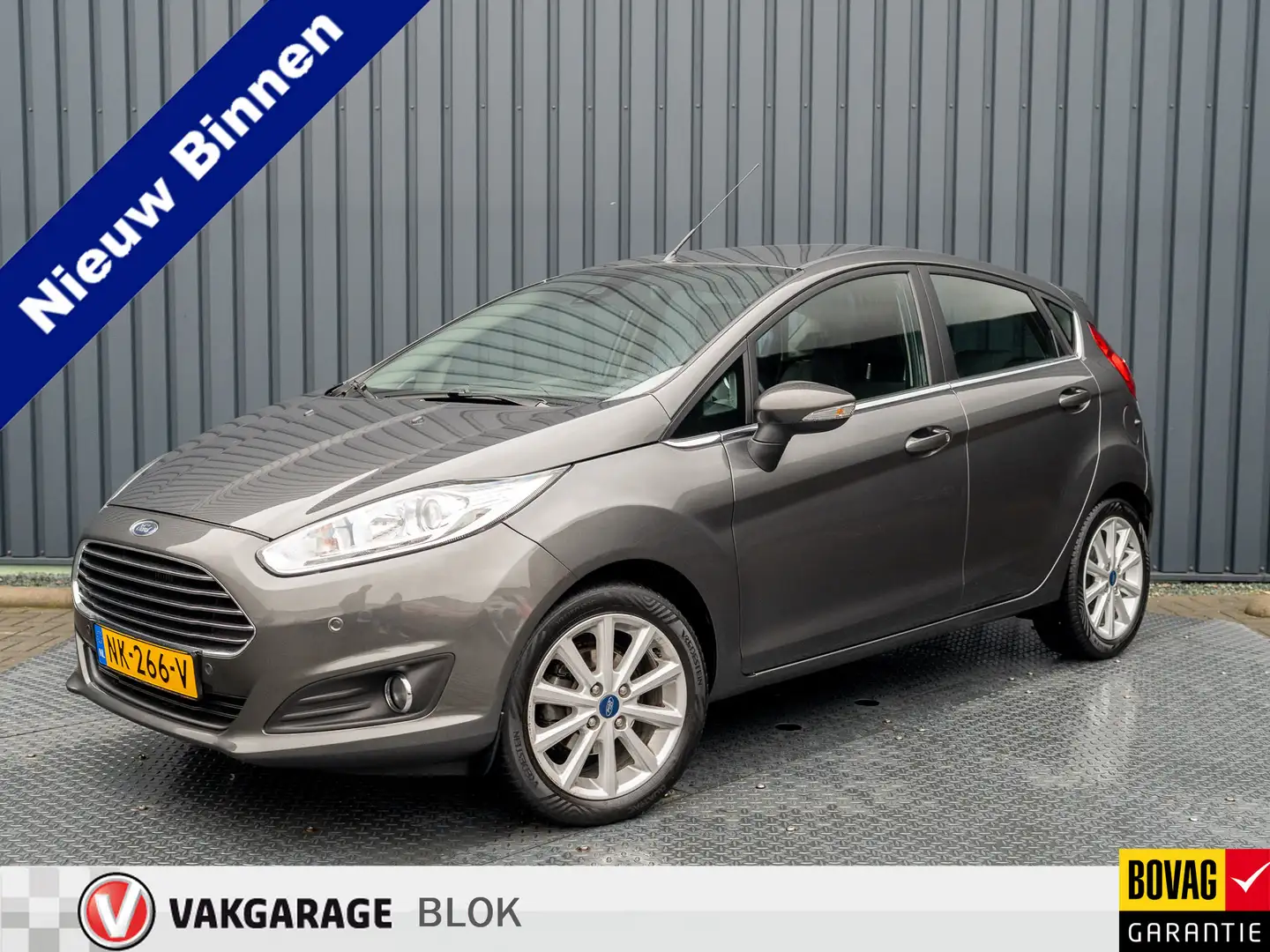 Ford Fiesta 1.0 EcoBoost 100Pk Titanium | Parkeersensoren V&A Grijs - 1