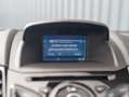 Ford Fiesta 1.0 EcoBoost 100Pk Titanium | Parkeersensoren V&A Grijs - thumbnail 12