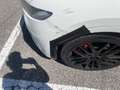 Maserati Levante 3.0 V6 250cv auto - thumbnail 7