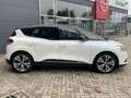 Renault Scenic 1.3 TCe Intens | Trekhaak | Apple Carplay/Android Blanc - thumbnail 15