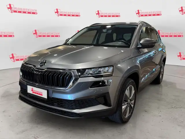 Skoda Karoq main image
