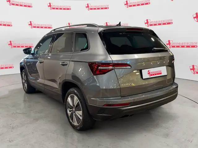 Skoda Karoq view 2