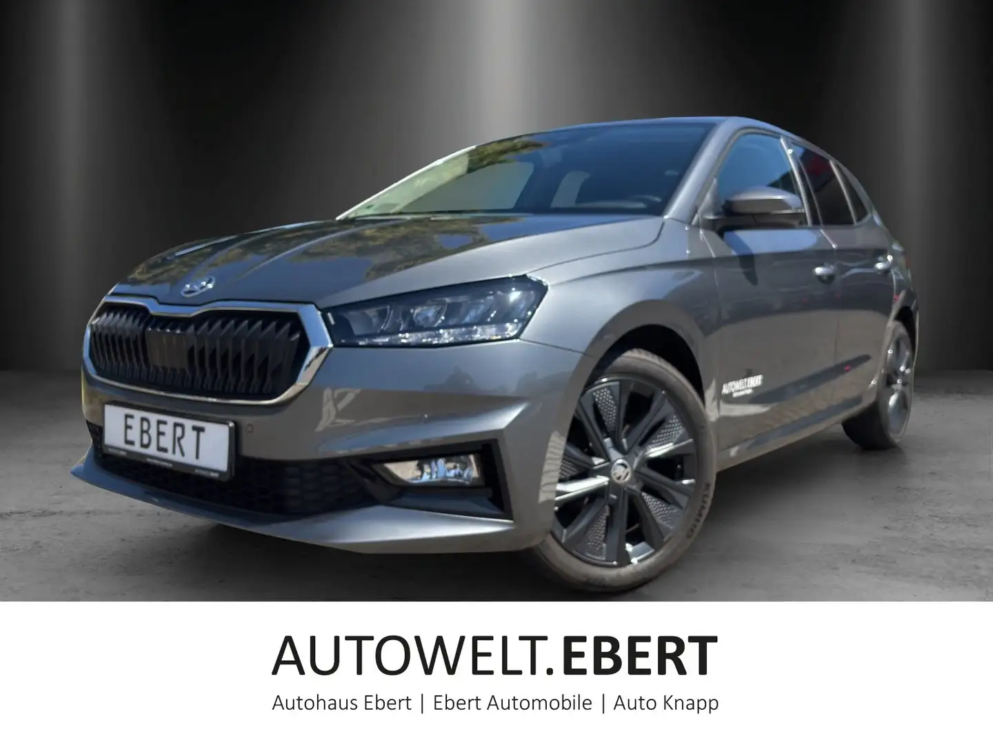 Skoda Fabia Selection 1,0 TSI 70 kW Grijs - 1