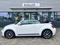 Volkswagen Beetle Cabriolet 1.2 TSI Automaat/ Design Wit - thumbnail 5