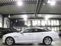 Jaguar XJ 3.0 D V6 PREMIUM-LUXURY WHITE&BLACK PANORAMA Weiß - thumbnail 7