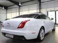 Jaguar XJ 3.0 D V6 PREMIUM-LUXURY WHITE&BLACK PANORAMA Weiß - thumbnail 11