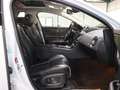 Jaguar XJ 3.0 D V6 PREMIUM-LUXURY WHITE&BLACK PANORAMA Weiß - thumbnail 21