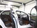 Jaguar XJ 3.0 D V6 PREMIUM-LUXURY WHITE&BLACK PANORAMA Weiß - thumbnail 18