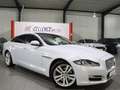 Jaguar XJ 3.0 D V6 PREMIUM-LUXURY WHITE&BLACK PANORAMA Blanc - thumbnail 3