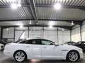 Jaguar XJ 3.0 D V6 PREMIUM-LUXURY WHITE&BLACK PANORAMA Blanc - thumbnail 8