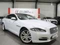 Jaguar XJ 3.0 D V6 PREMIUM-LUXURY WHITE&BLACK PANORAMA Blanc - thumbnail 2