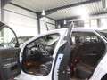 Jaguar XJ 3.0 D V6 PREMIUM-LUXURY WHITE&BLACK PANORAMA Weiß - thumbnail 17