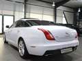 Jaguar XJ 3.0 D V6 PREMIUM-LUXURY WHITE&BLACK PANORAMA Blanc - thumbnail 10