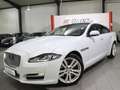 Jaguar XJ 3.0 D V6 PREMIUM-LUXURY WHITE&BLACK PANORAMA Weiß - thumbnail 4