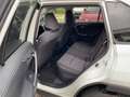 Toyota RAV 4 RAV4 2.5 D Team Deutschland Matrix 2xKlima AUT Wit - thumbnail 9