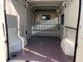 Fiat Ducato Natural Power (Rs: 3450 mm) Weiß - thumbnail 9