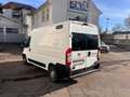 Fiat Ducato Natural Power (Rs: 3450 mm) Weiß - thumbnail 3