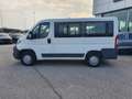 Peugeot Boxer 330 2.0 BlueHDi/110CV FAP PC-TN Combi Comfort Biały - thumbnail 2